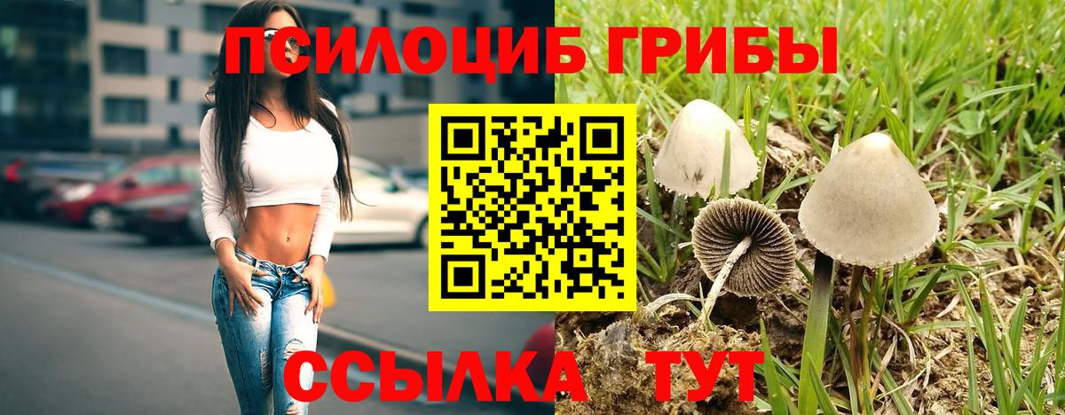 Галлюциногенные грибы мухоморы Сыктывкар