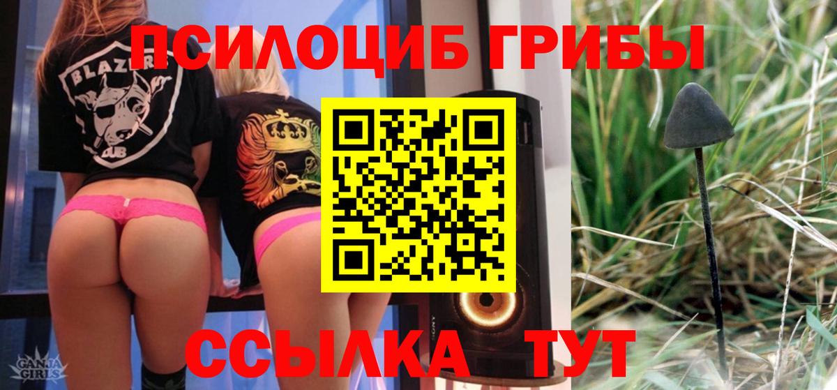 Сыктывкар  Псилоцибиновые грибы мухоморы  Вход с VPN  Псилоцибиновые грибы мицелий 
